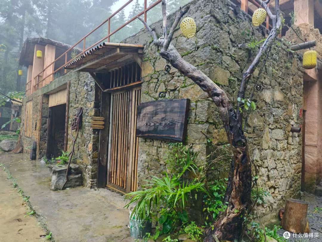 白马草堂:藏在森林里的露营与疗愈之地