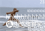 哈哈哈