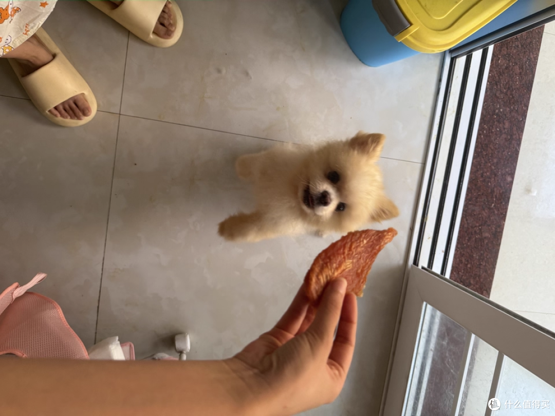 麦富迪鸭肉干鸡肉干，泰迪金毛都爱吃的磨牙训狗神器