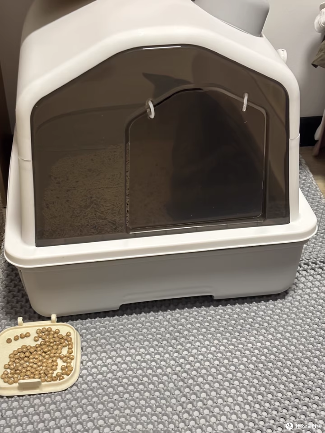 养猫不背 “异味锅”!全封闭式超大号猫厕所深度体验