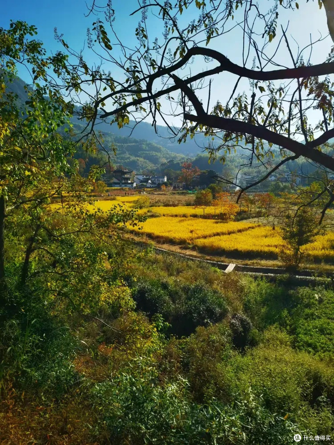 周末出逃计划：邂逅塔川的斑斓秋光