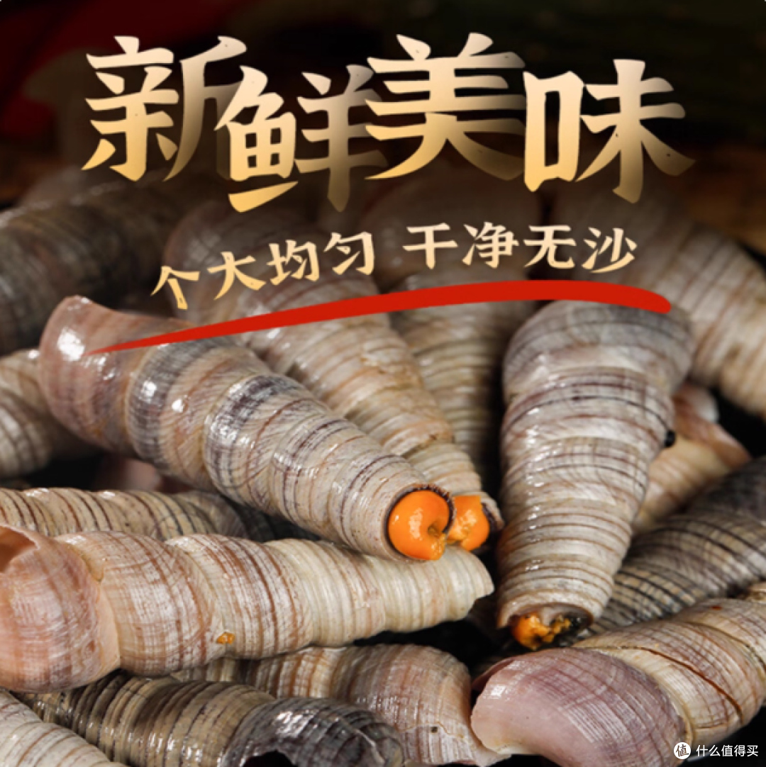 鲜活免处理钉螺:顺丰直达还送炒料,烧烤小炒都出圈!