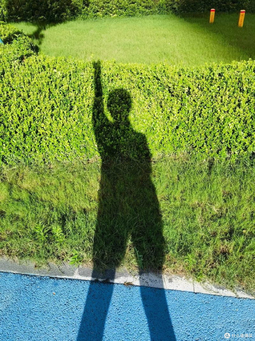 跑步不盲目:4个实用策略,跑得轻松又持久