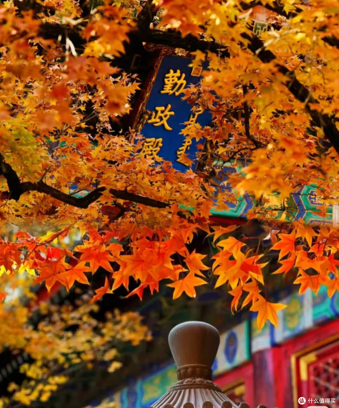 香山红叶季,10月最佳赏景时间