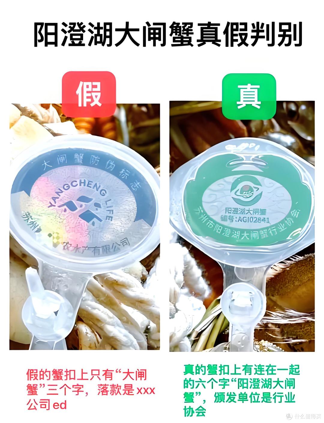 9月必吃!手把手教你分辨真·阳澄湖大闸蟹,别再花冤枉钱了!
