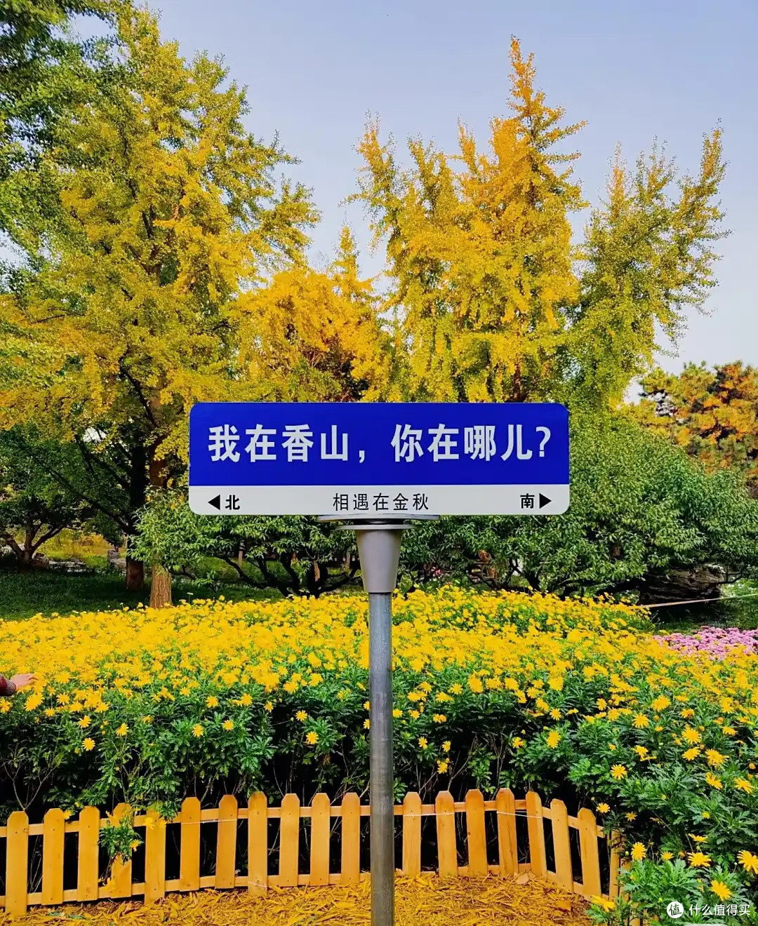 香山红叶季,10月最佳赏景时间
