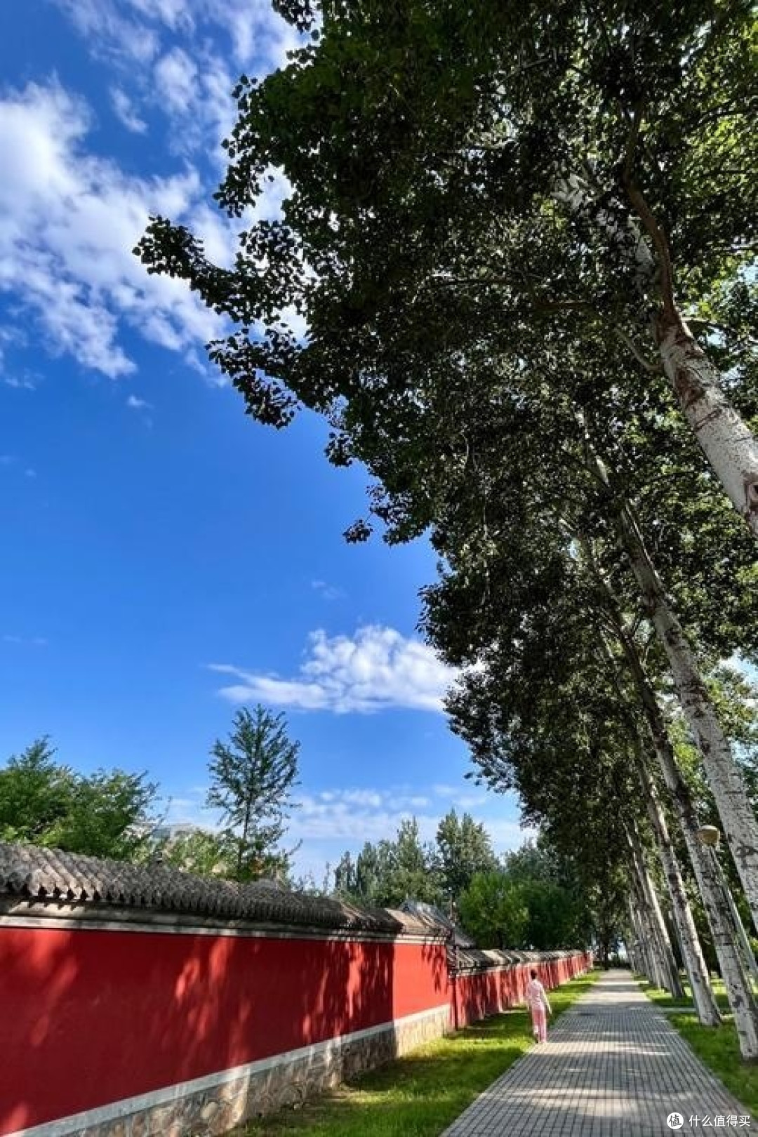 手机拍出高级感？学会这3个构图“潜规则”，朋友圈点赞翻倍！