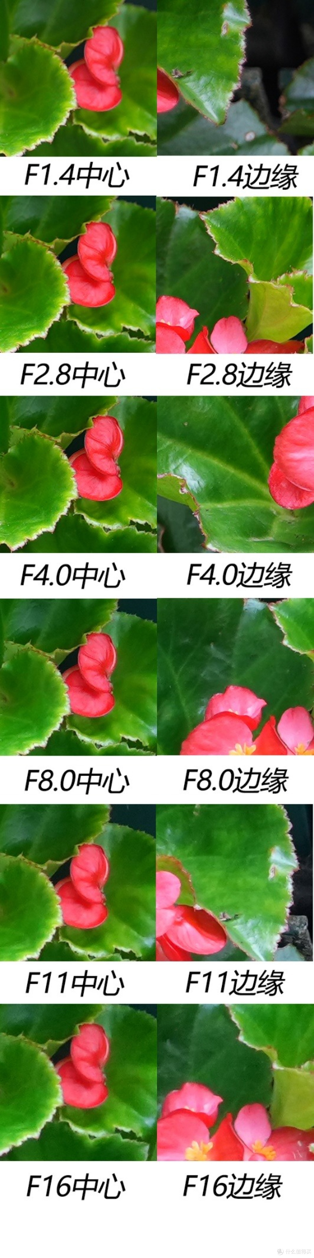 刀锐奶化新标杆 适马Art 135mm F1.4 DG深度评测