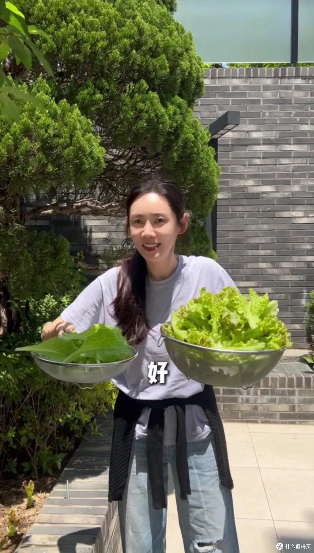 中国媳妇“秋瓷炫”的院子火了，仅一菜园子就圈粉无数，真接地气