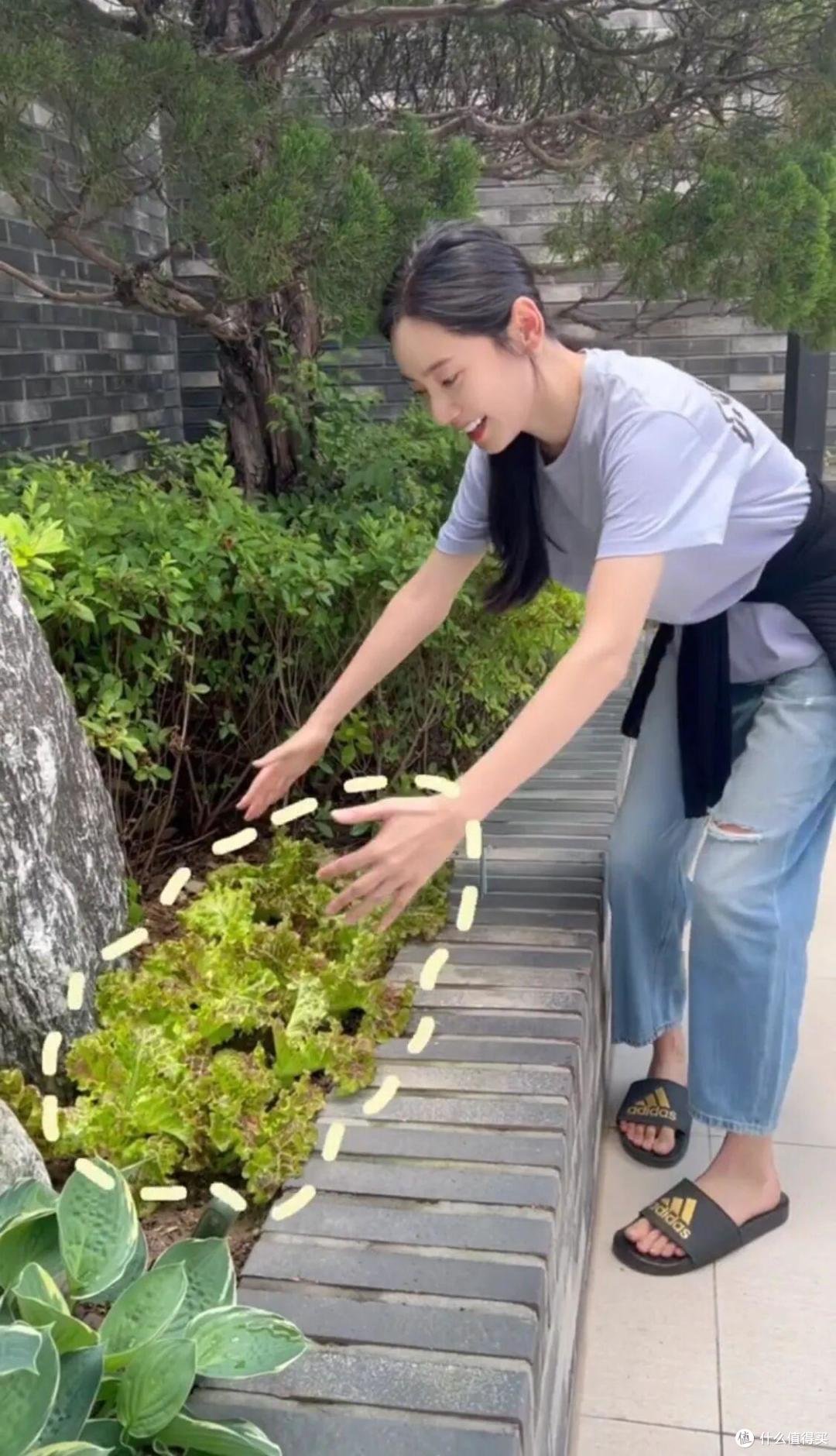 中国媳妇“秋瓷炫”的院子火了，仅一菜园子就圈粉无数，真接地气