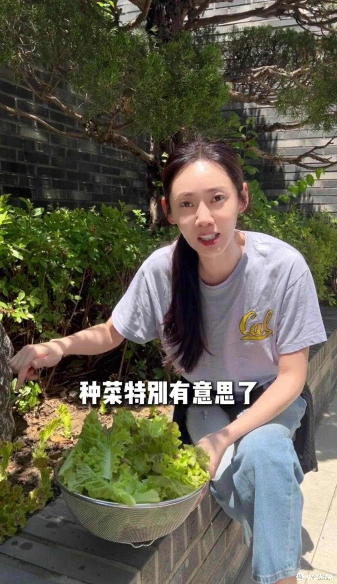 中国媳妇“秋瓷炫”的院子火了，仅一菜园子就圈粉无数，真接地气
