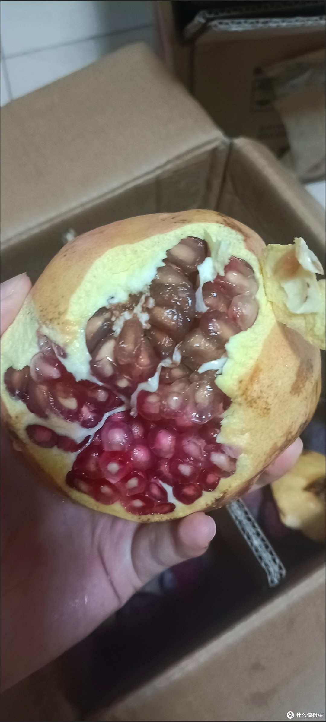 突尼斯软籽石榴正当季,美味石榴晶莹剔透口感清甜