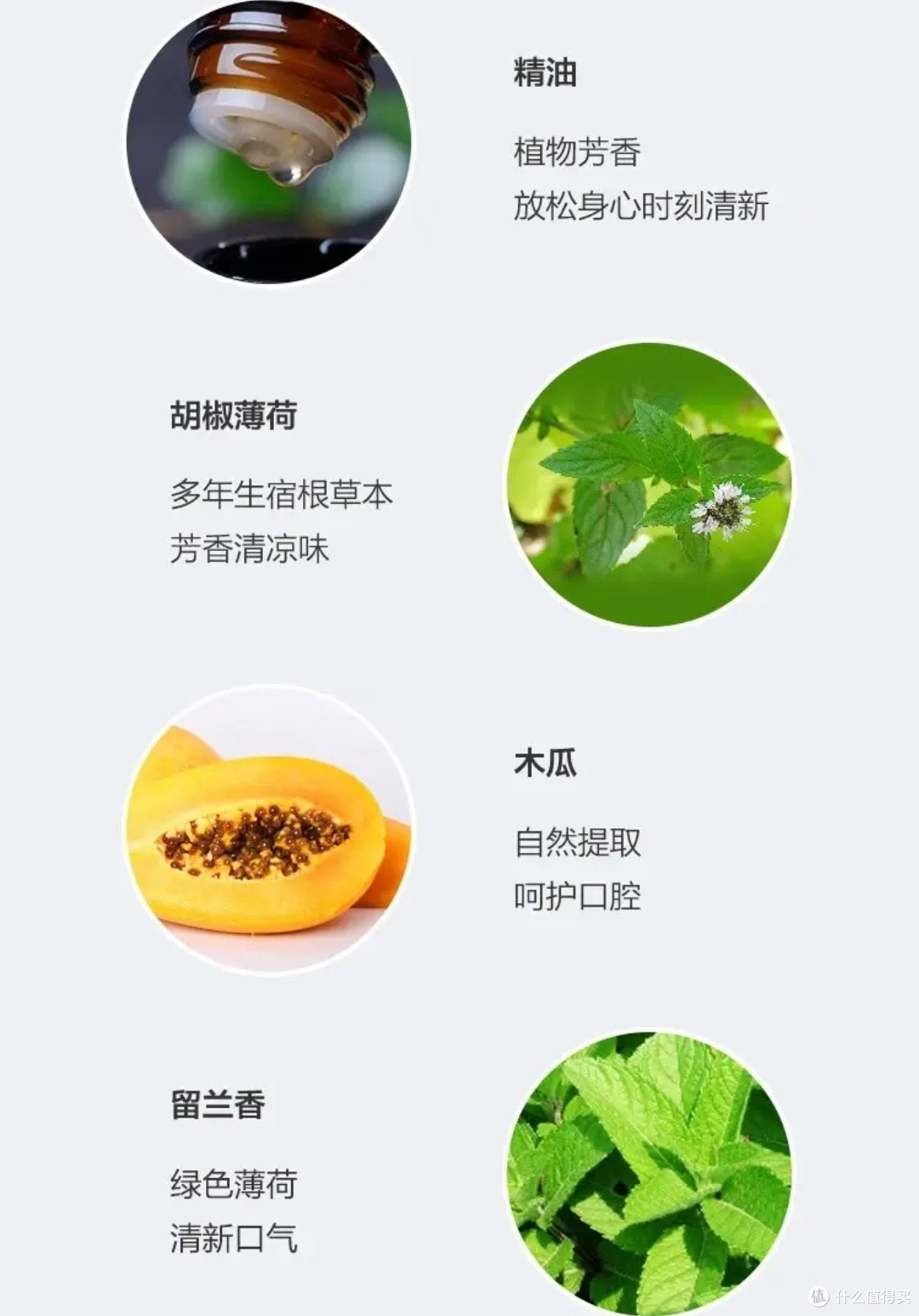 俄罗斯Splat木瓜牙膏