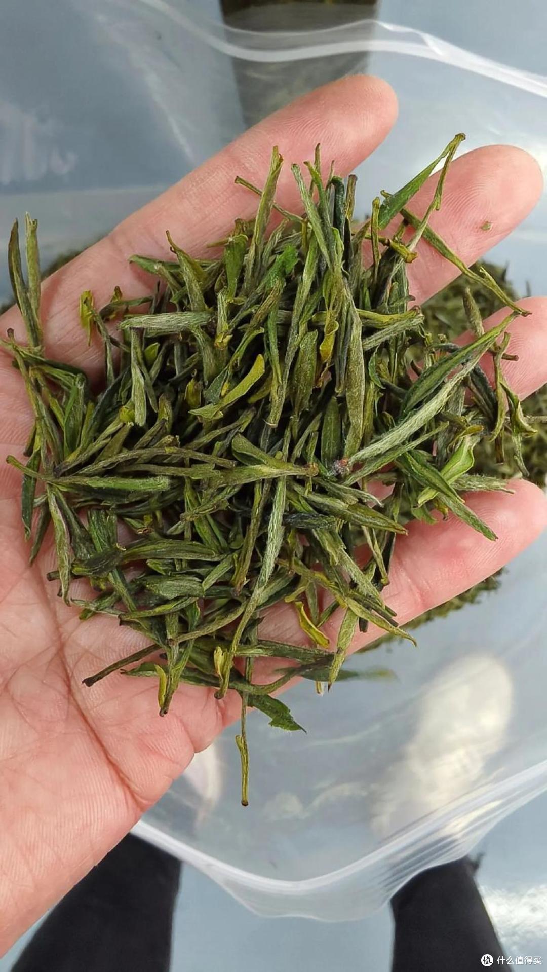 中国,哪里的黄茶最好喝?