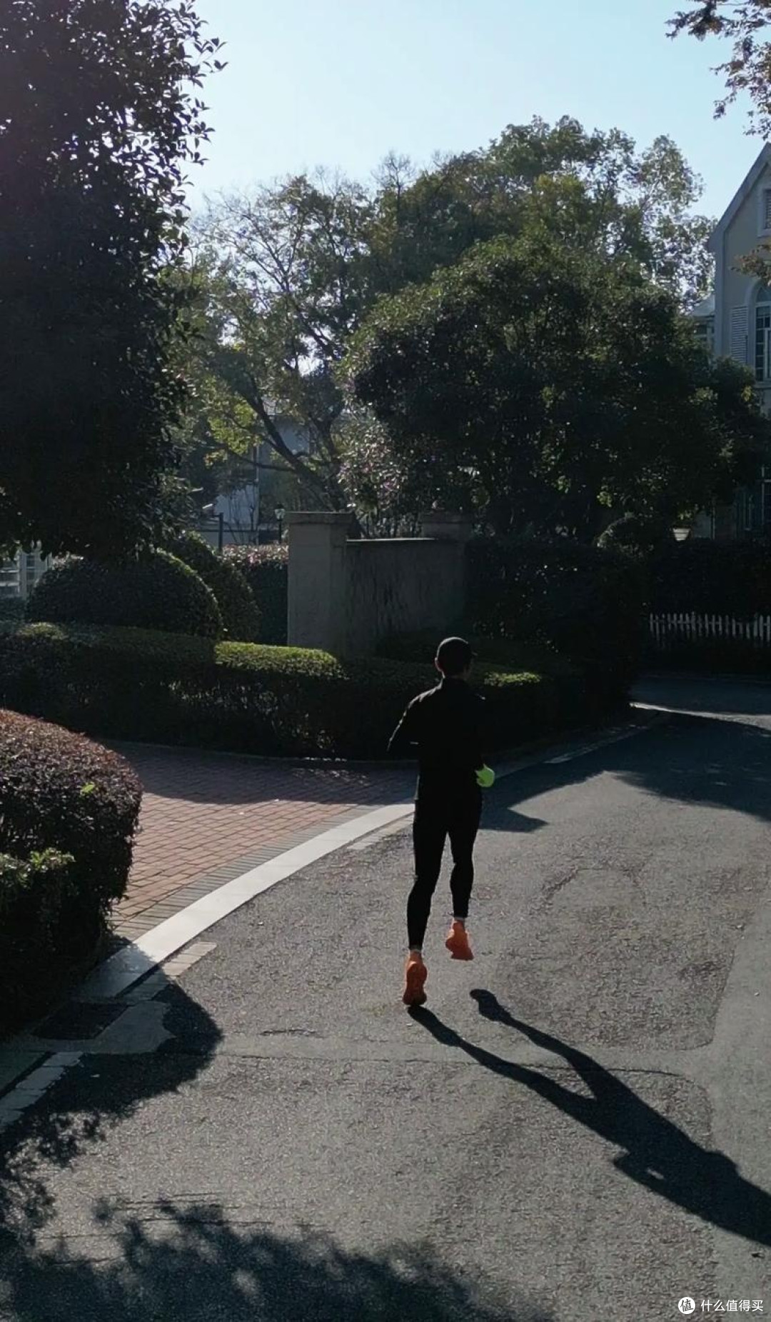 跑了五年步,我终于把“受罪”跑成了习惯