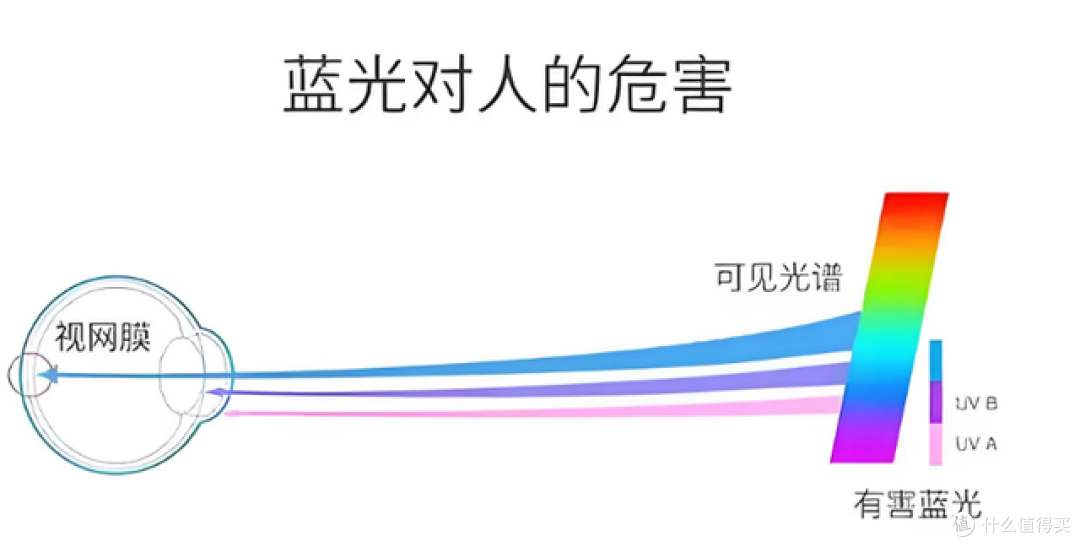 台灯落地灯最好的品牌是什么？高性价比护眼灯合集，学生家长必看