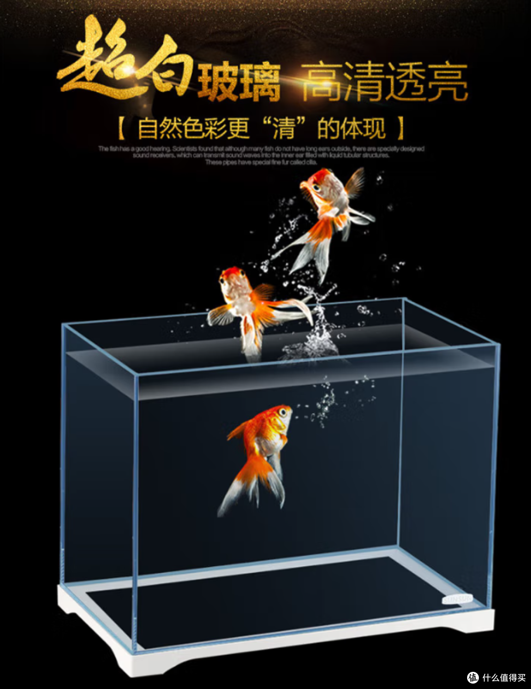 一方水景,全家安心:森森HWK-600P超白缸如何让家更有温度和灵气
