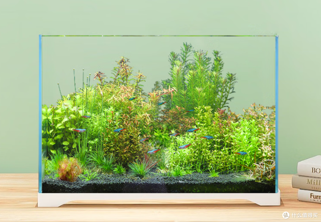 一方水景,全家安心:森森HWK-600P超白缸如何让家更有温度和灵气