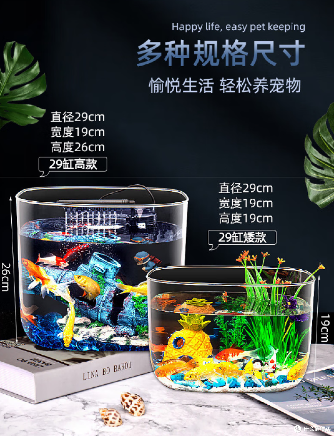 桌角一方清透水世界:派乐特迷你鱼缸如何为小家增添灵动与安心