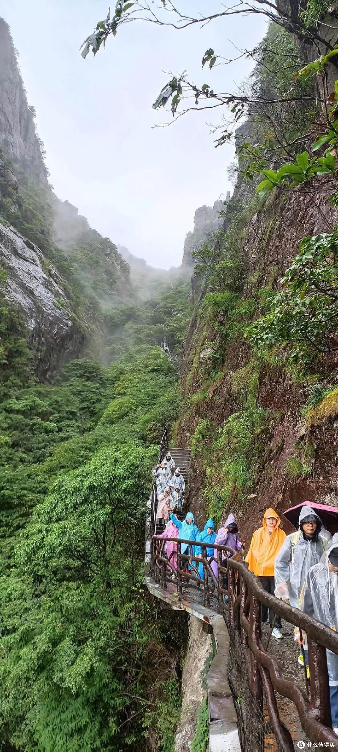 雷雨天爬山的生存指南