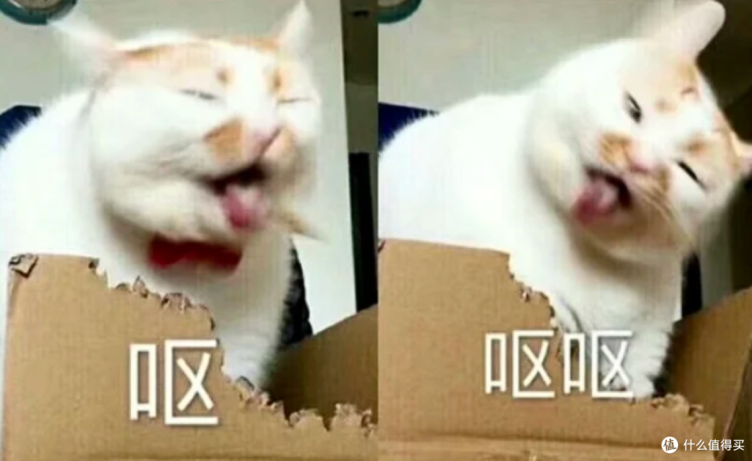 为什么坐油车没感觉,一坐电车就晕车