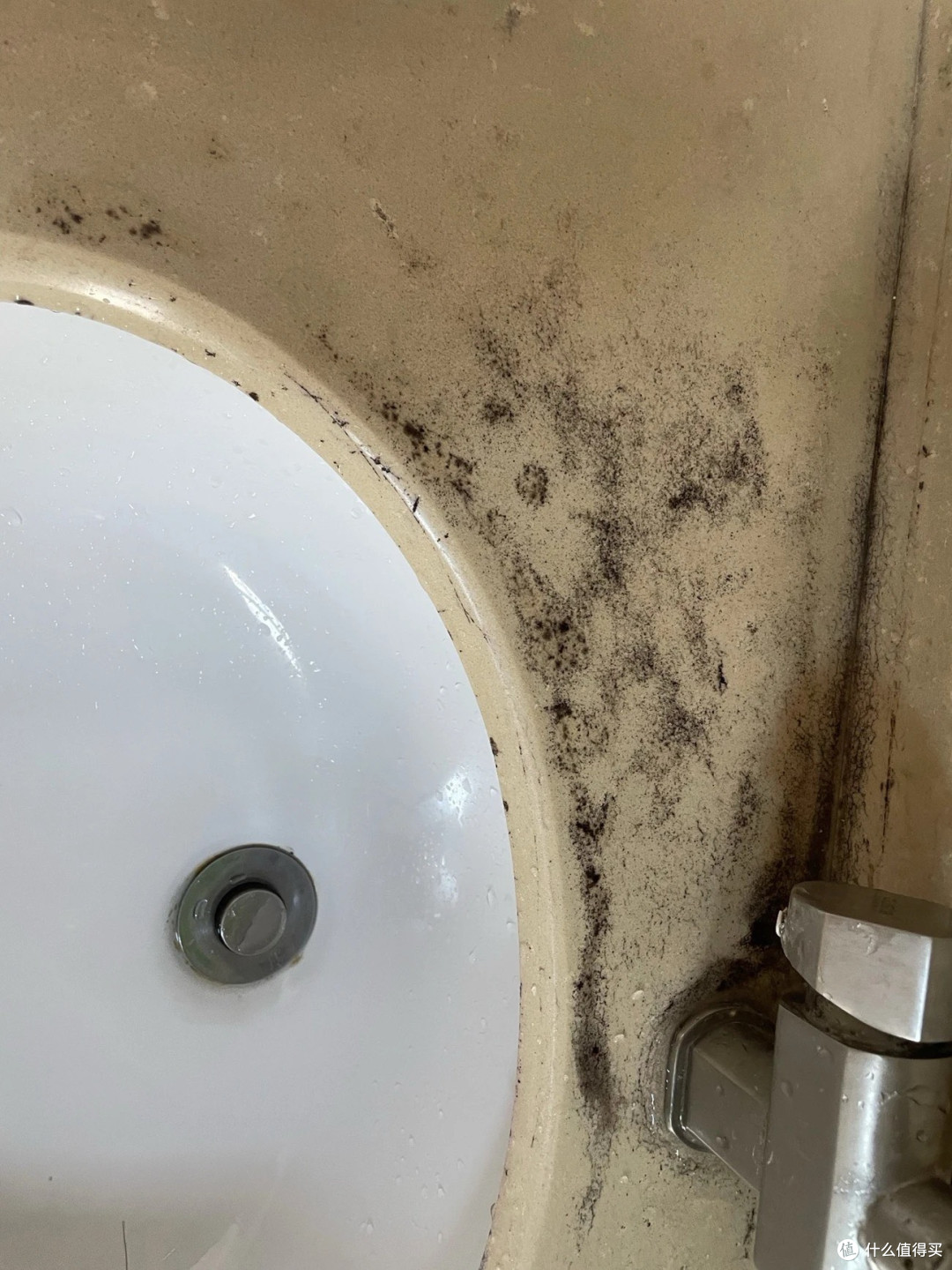 卫生间防霉新利器除霉喷雾