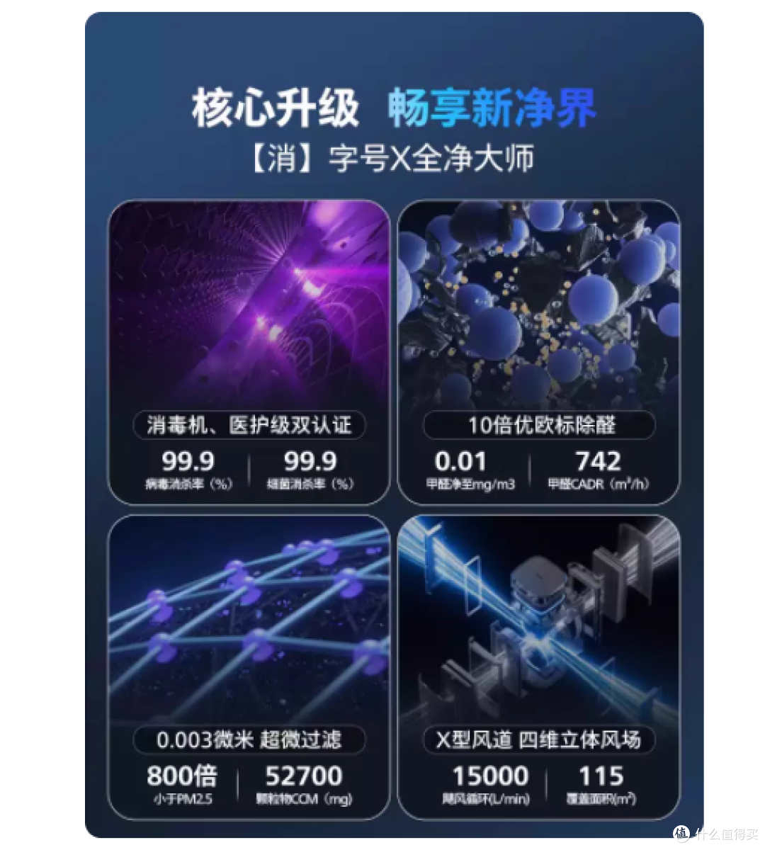 谁懂啊!新房 + 金毛的窒息感终于被治好啦😭