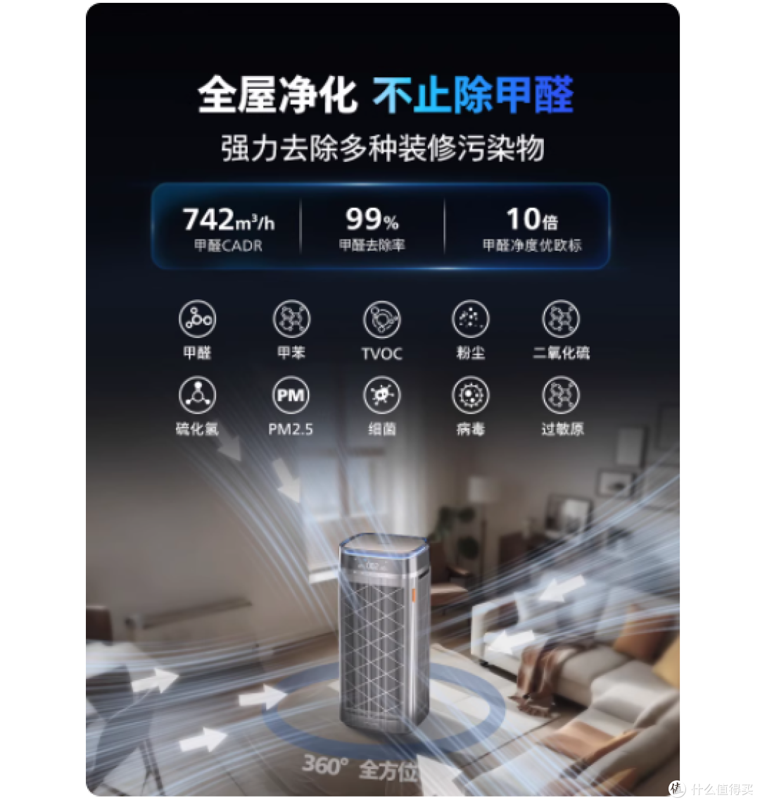 谁懂啊!新房 + 金毛的窒息感终于被治好啦😭