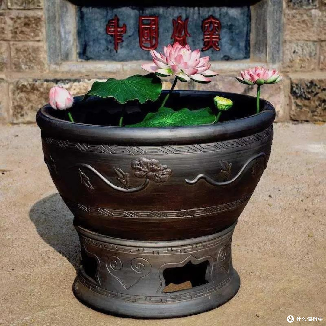 古法养鱼:构建自然生态循环