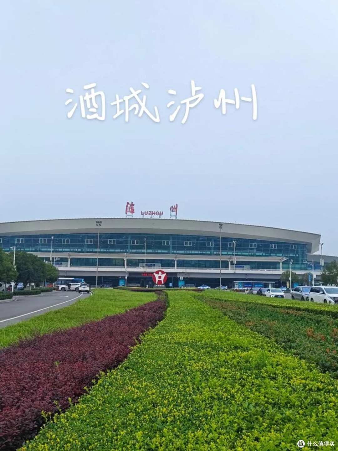 周边城市游,泸州看海鸥