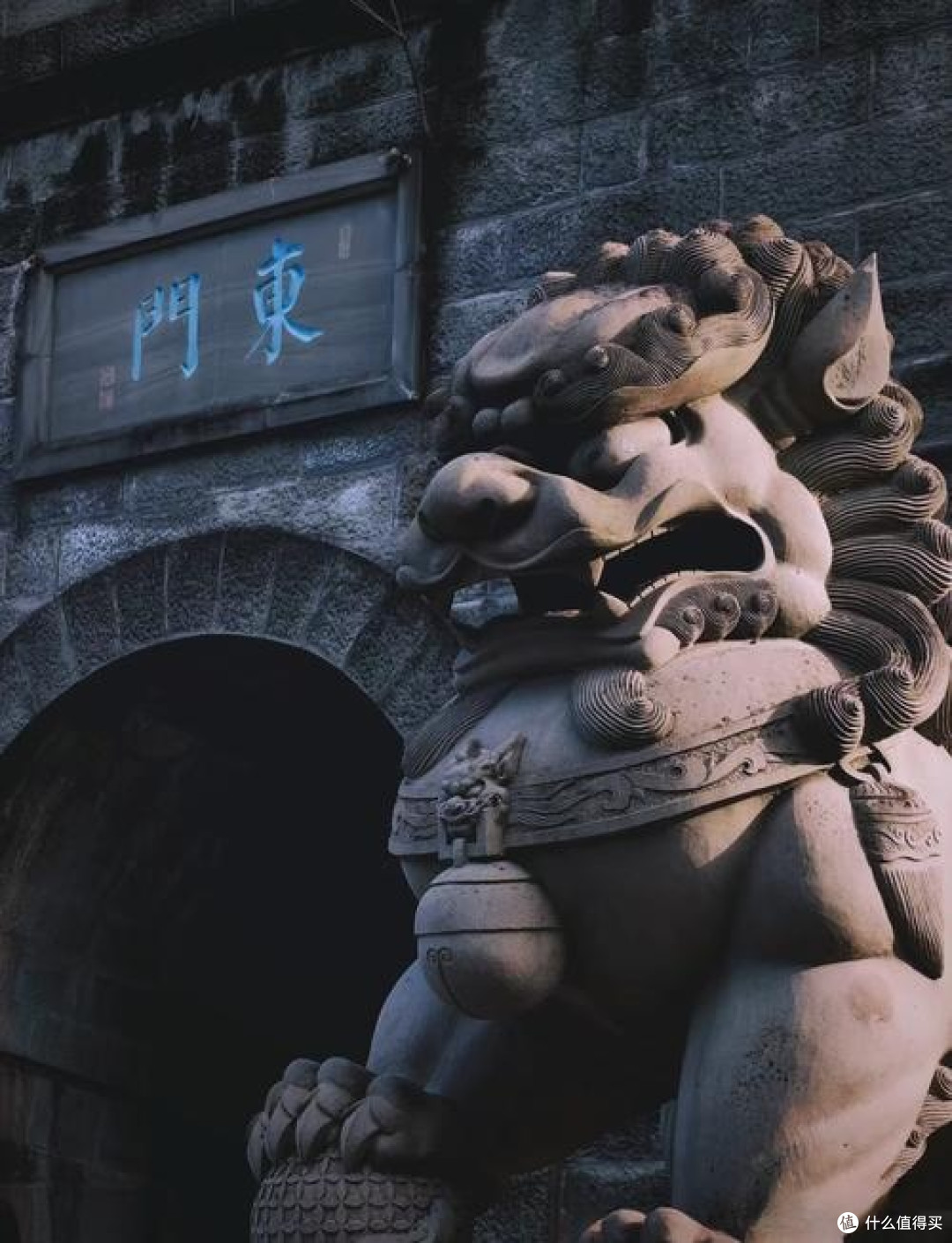 周边城市游,泸州看海鸥