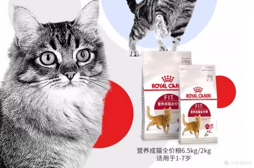 私藏清单！新手买猫粮怎么选？最靠谱猫粮的品牌推荐
