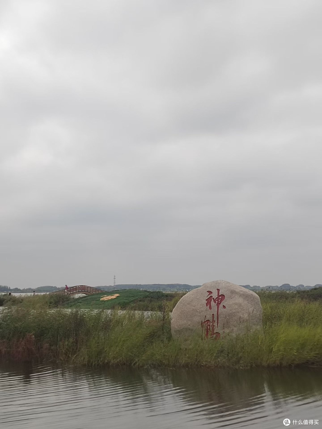 周末自愈计划,周末去到人少的湿地公园,体验身心自由的感觉