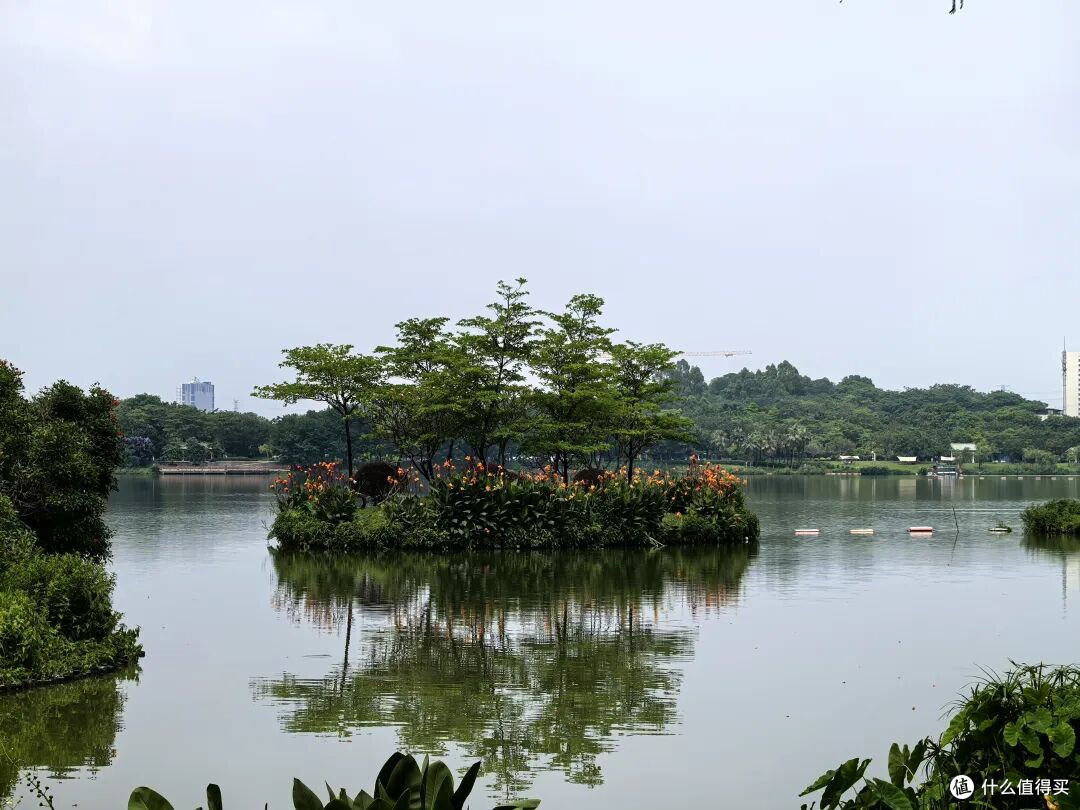 周末自愈计划:白云湖的湖风与慢时光
