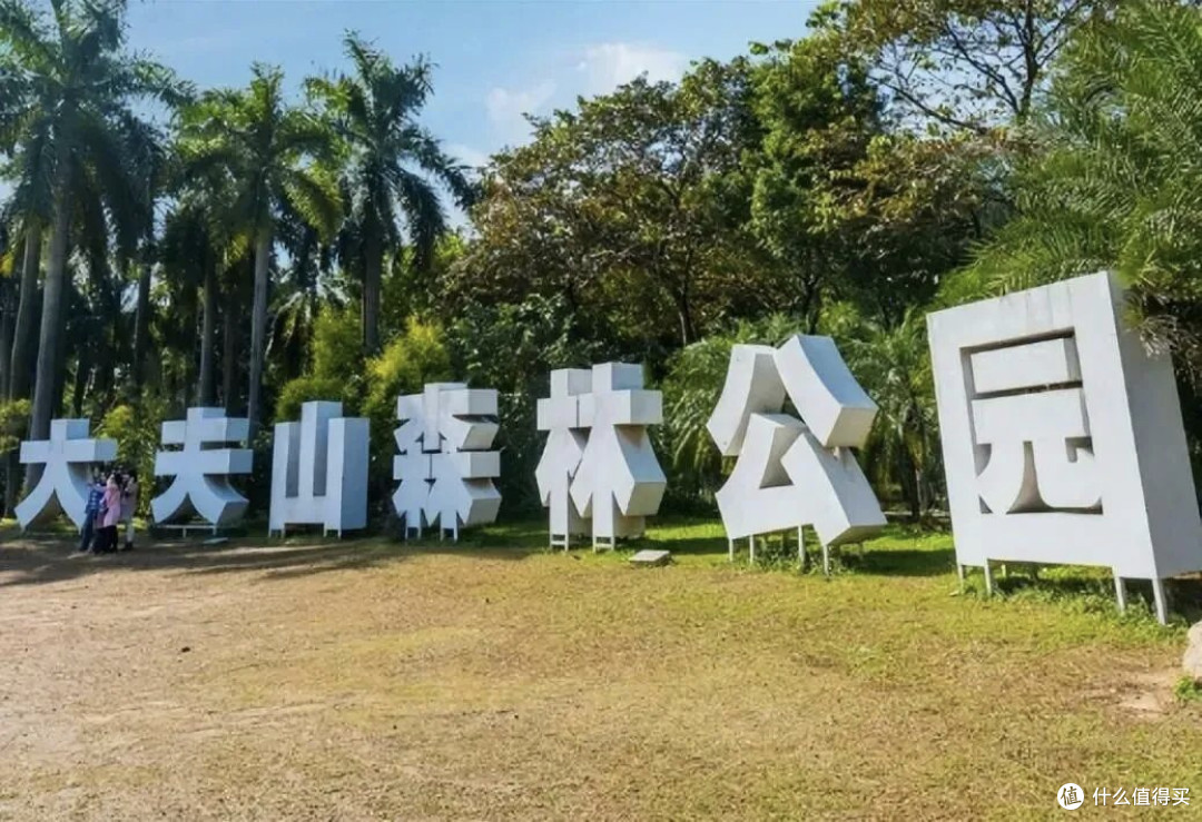 周末自愈计划：大夫山的绿意与风，吹走一周疲惫