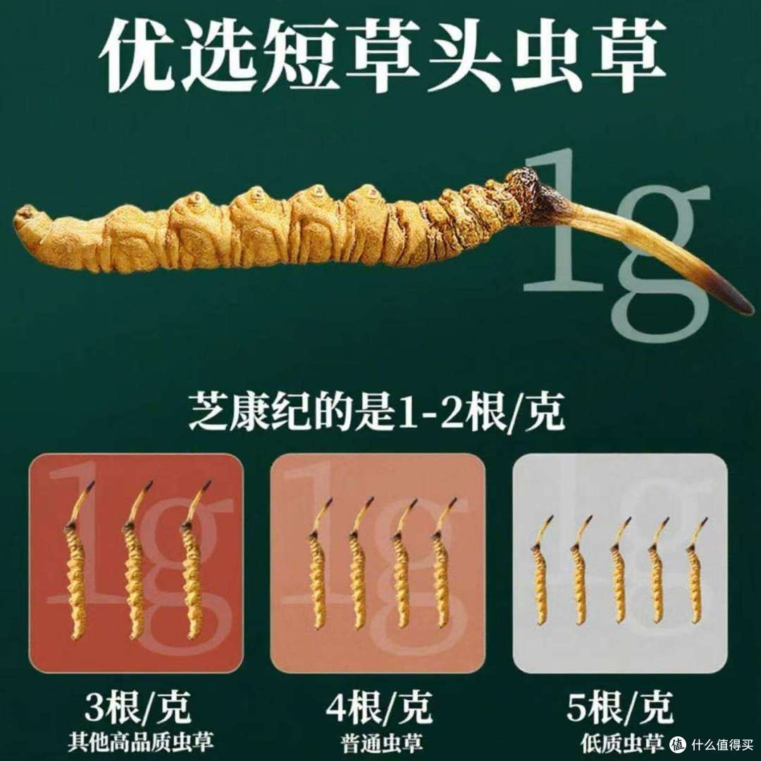 2025冬虫夏草什么牌子正宗?冬虫夏草最好的三个品牌排行榜单公布