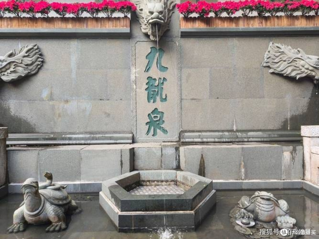 文旅局发券,九龙泉玩法揭秘