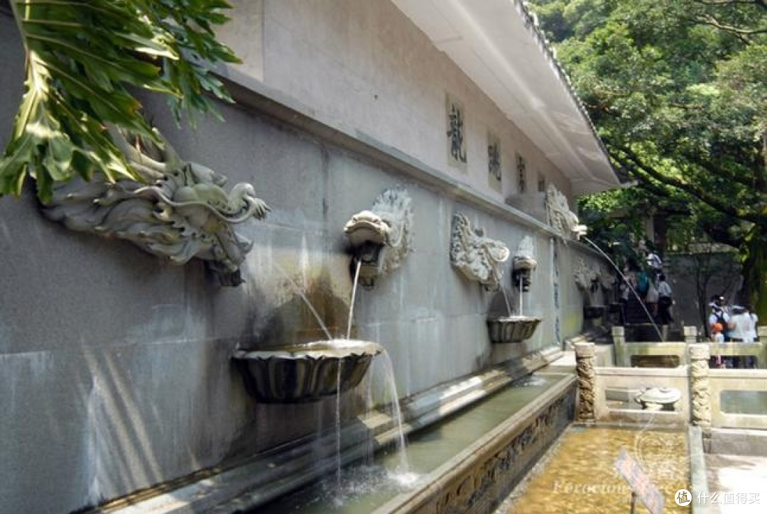 文旅局发券,九龙泉玩法揭秘