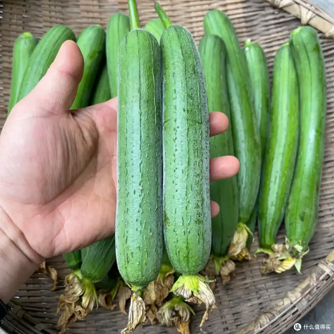 9月、10月逛菜市场,认准这5种时令菜,便宜还少打农药,吃着放心
