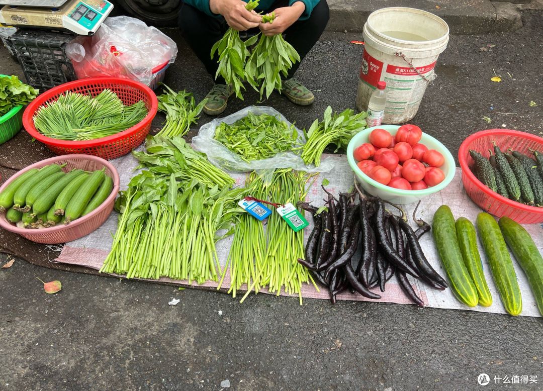 9月、10月逛菜市场,认准这5种时令菜,便宜还少打农药,吃着放心