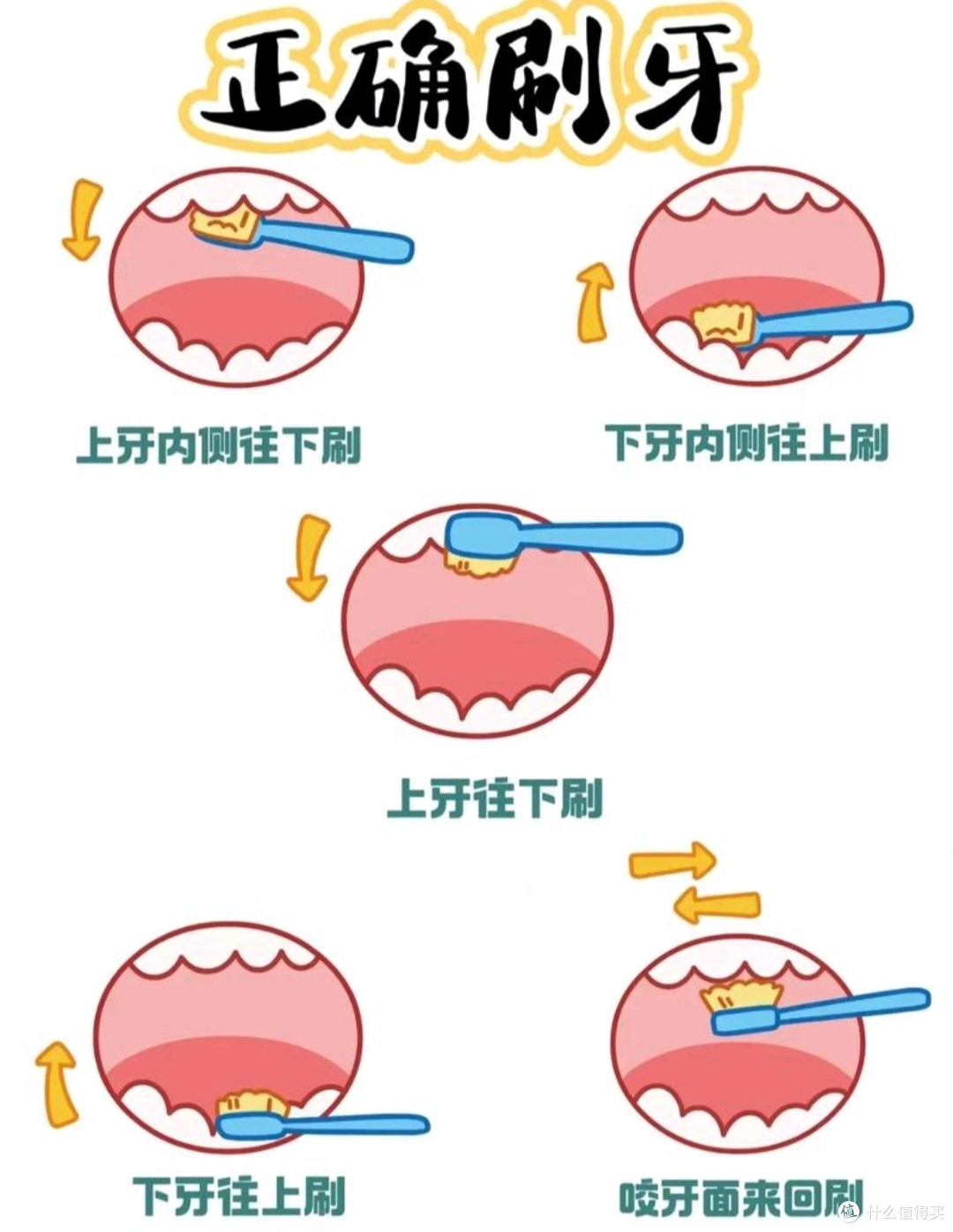 聊聊牙齿健康：日常护理小贴士，如正确刷牙方法、推荐牙膏品牌；