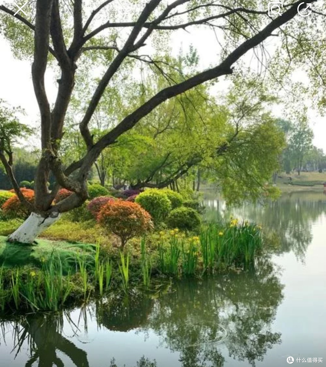 周末一日游 | 打卡天门北湖公园，解锁城市里的诗意栖居