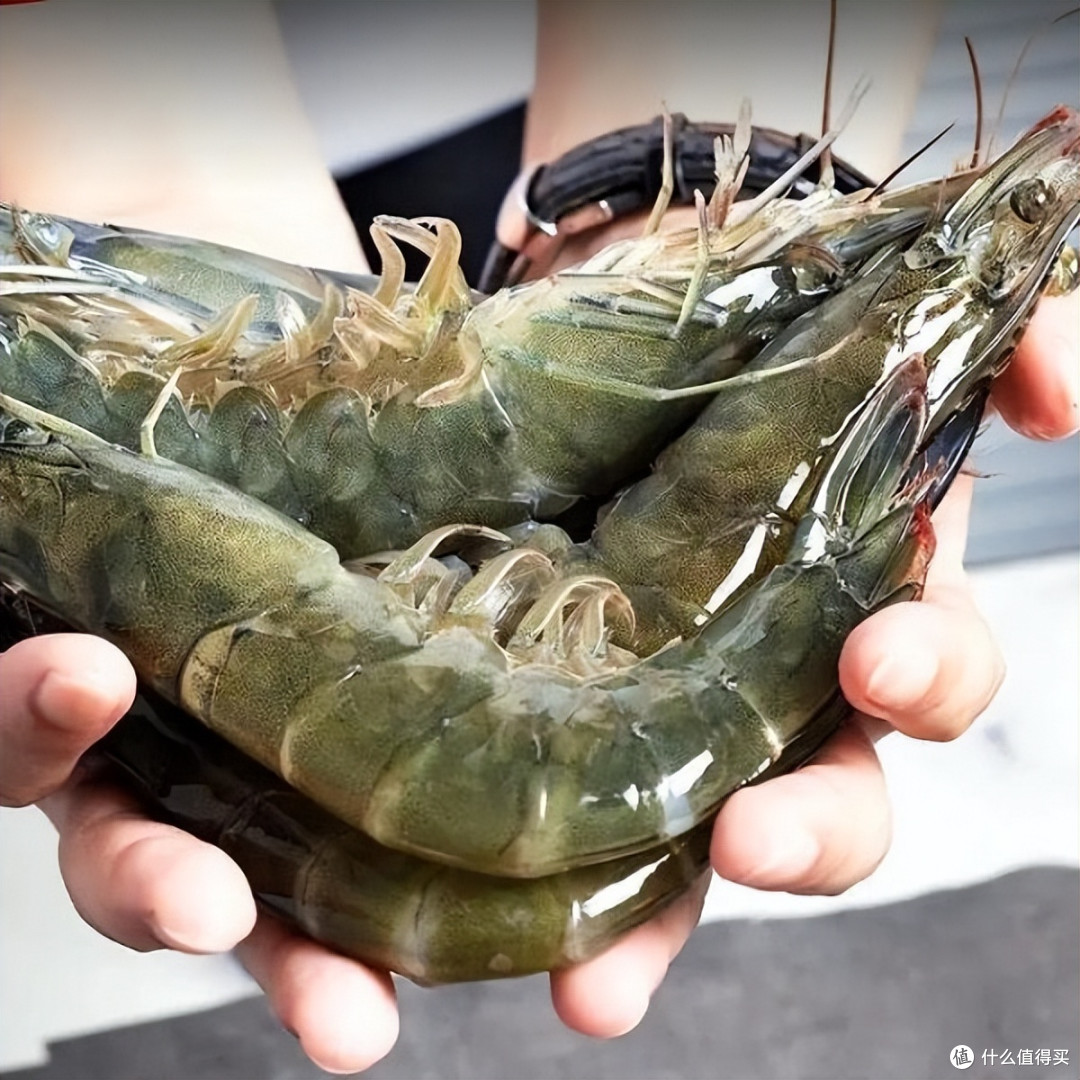 为什么说广东海鲜吊打全国?