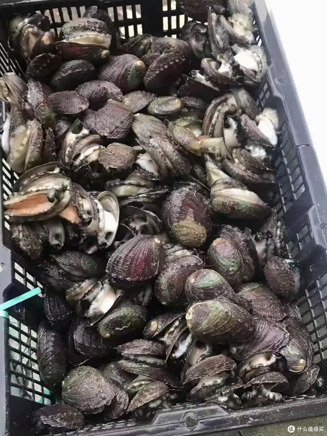 为什么说广东海鲜吊打全国?