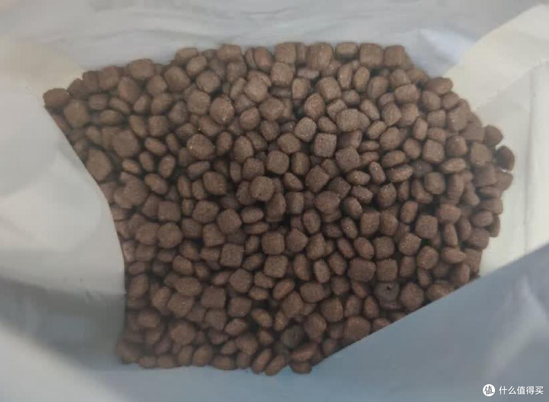 比熊挑食吃什么牌子狗粮好？拿捏挑食小狗的5种狗粮测评