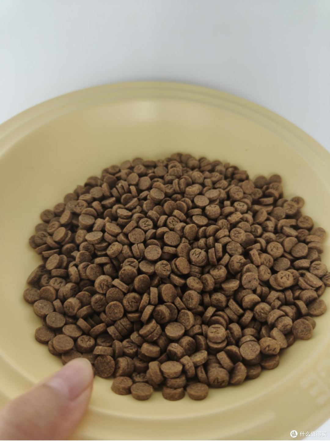 挑食严重的狗吃哪款狗粮好呢?5款专治挑食的宝藏狗粮推荐