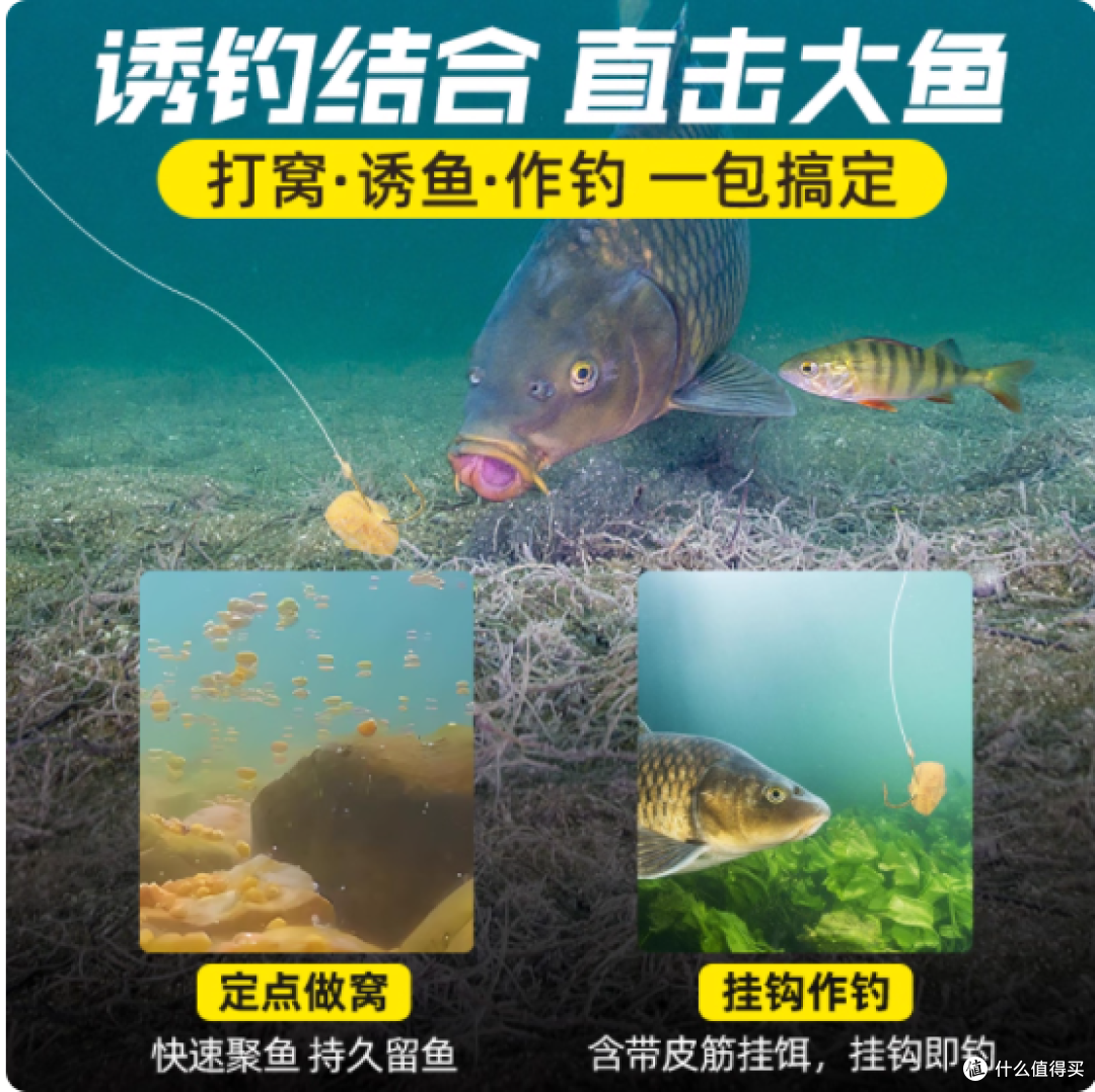 野钓封神!柒愿果香玉米窝料让我从空军佬变爆护王🎣