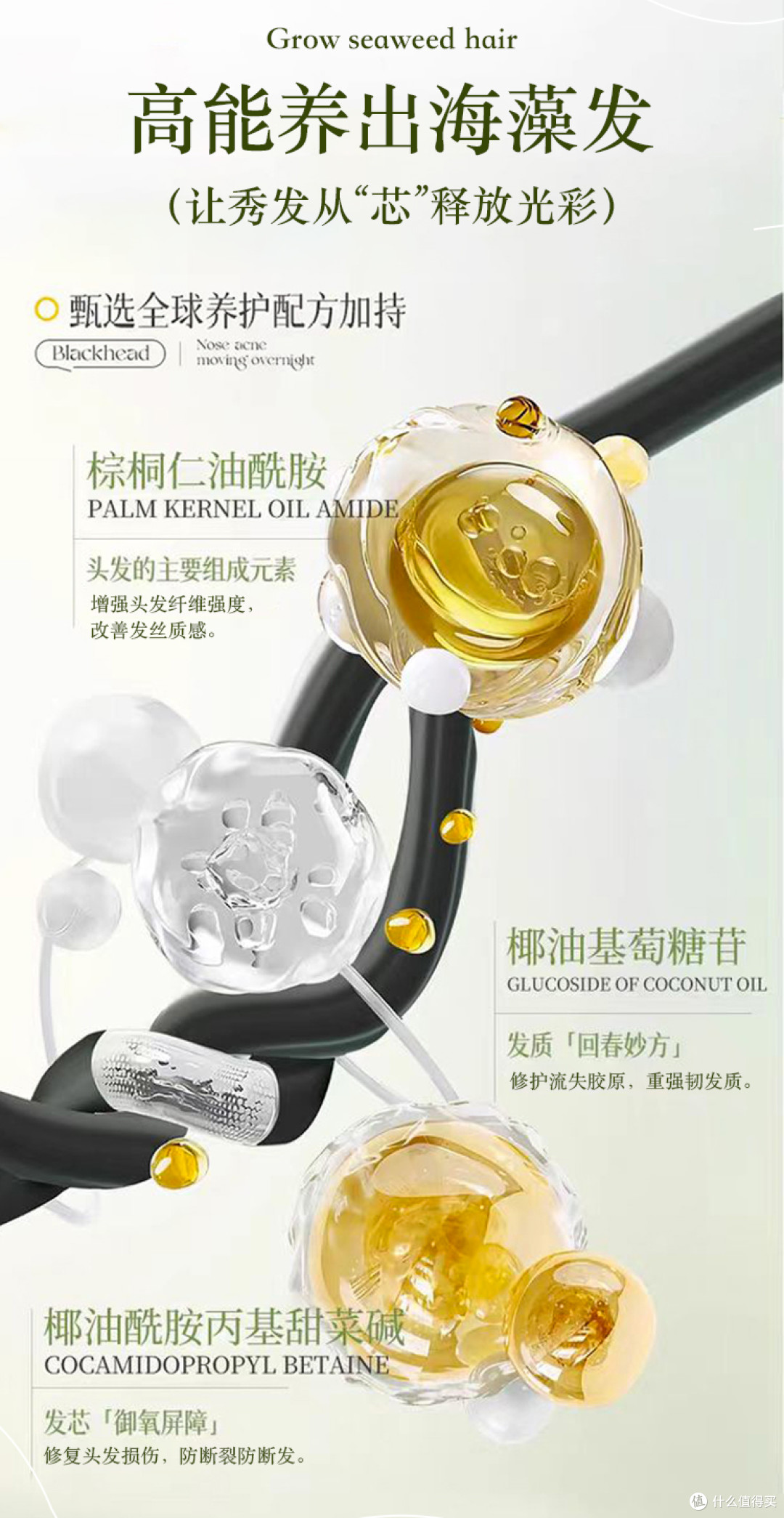 去屑控油洗发水哪款效果好?性价比实测!去屑控油效果好高值推荐