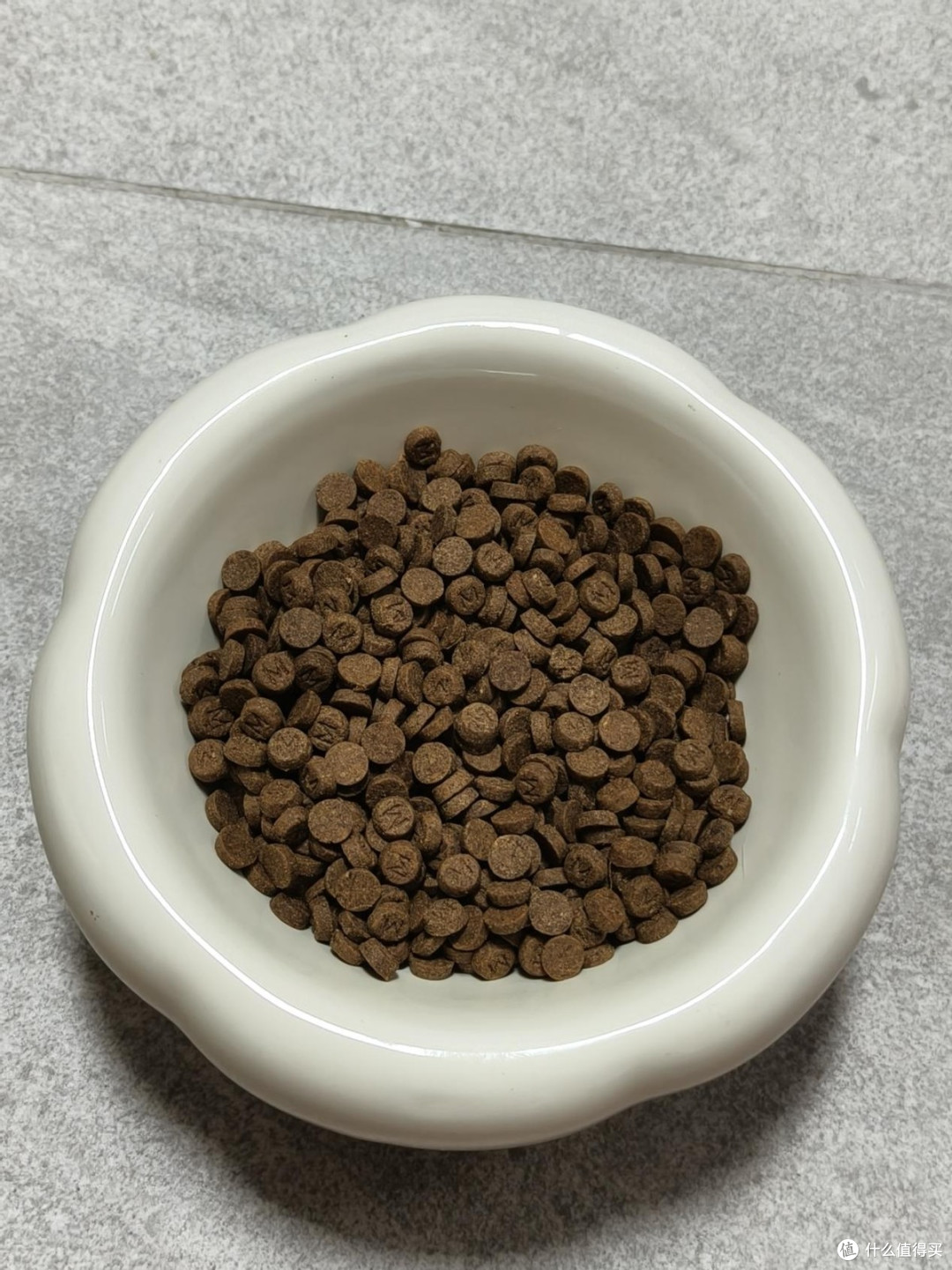 秋田特别挑食吃什么狗粮?要怎么选?