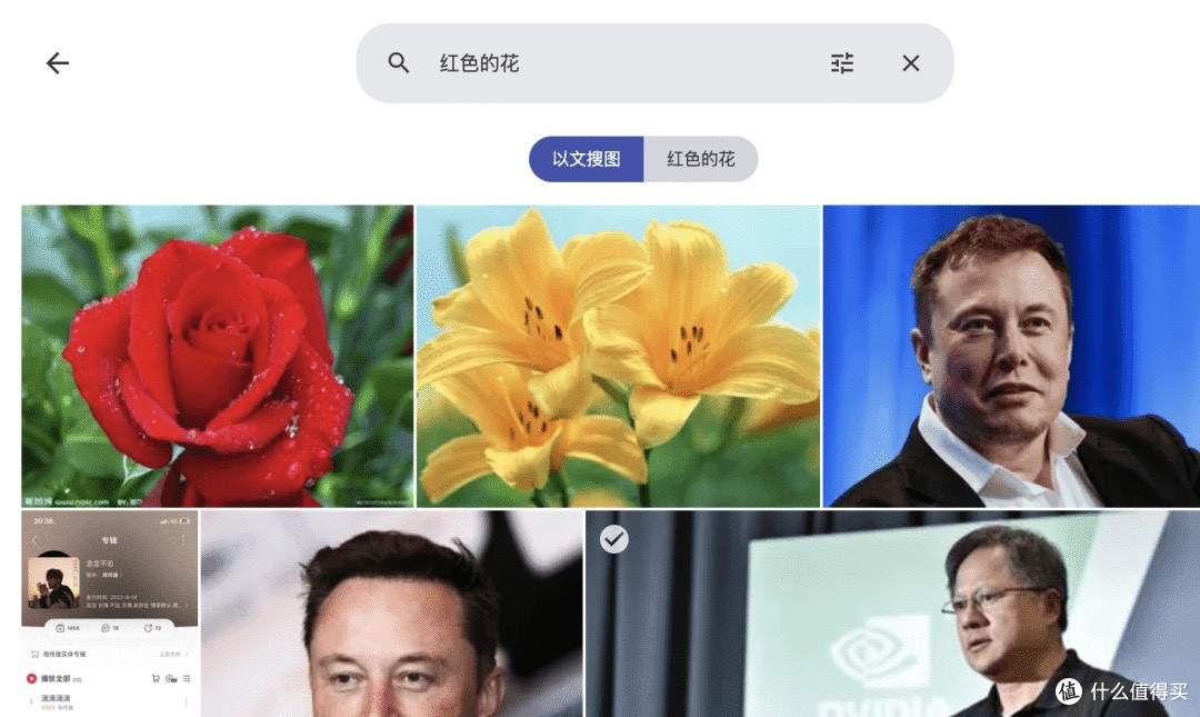 Immich,照片管理神器?